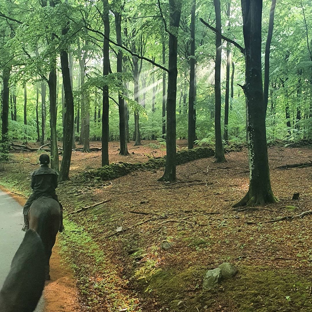 Kvärk forest